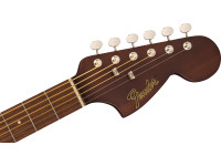 Fender  Monterey Standard